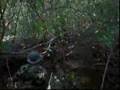 Ver Video