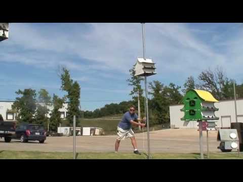 how to put up a purple martin house