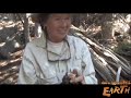 Whitebark Pine Disaster Whitebark Pine Disaster