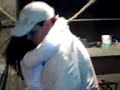 Pus ya que Pus ya que