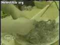 Poulpe et mollusque