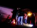 THE HONKY PUNKS - THE STUPID WHORE SONG (august 30th 2008)