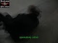 Jackass Praha - boby