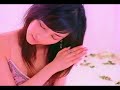 資生堂　SALA麻生久美子