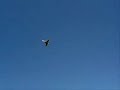 TwinJet  JustGoFly 450th motors