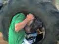 Mildura Tractor tyre fun Mildura Tractor tyre fun
