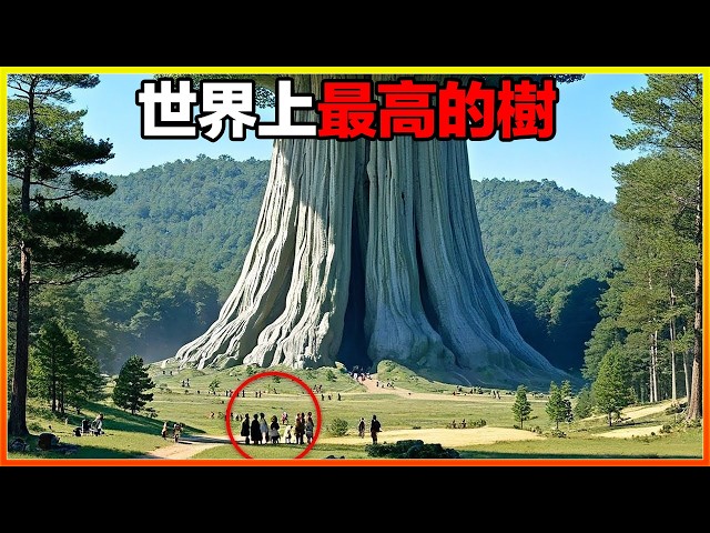 最新消息詳情頁演示頁面6