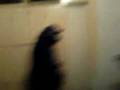 Queens Road Productions Droba Gets A Slap