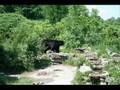 Bear stories in the news