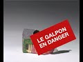 dernier-printemps-du-galpon-sur-le-site-artamis.html