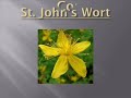 2009 St John's Wort CHEM 109.wmv