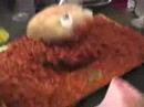 Down On Avenue D - Episode 2 - Brunch Down On Avenue D - Episode 2 - Brunch
