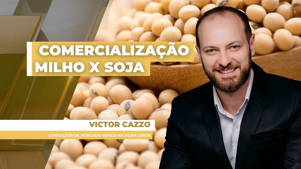 Soja e milho têm momentos distintos de comercialização no Brasil, soja espera enquanto milho vende