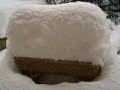 NEVE A TOTOLANDIA