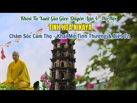Tinh Hoa NIKAYA - Chăm Sóc Cảm Thọ - Khai Mở Tình Thương & Biết Ơn