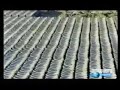 mega construcciones túnel 04/05