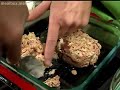 Pepper Encrusted Beef Tenderloin - Meijer Mealbox Recipe