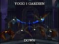 Yogg 1 gardien