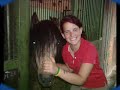 Reitstall Kanzelhof..2tes Video... Reitstall Kanzelhof..2tes Video...