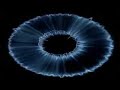 Soul Fusion Express - Unknown Tribal House Track