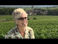 Burgundy, France: The Wine of the Côte d'Or