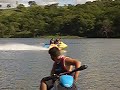 Amarelão x Azulão (Dudu) Amarelão x Azulão (Dudu)