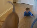 Gavyn chases his Dopey Head