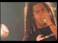 Shadows Fall - The Light That Blinds - Live