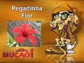 Mucao.com.br - Pegadinha Flor