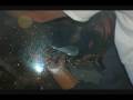 videos de torsion  class 2008