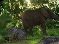botaniq original commercial video