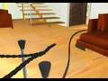    Dominium