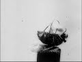 Propped upon the tail-end of a match, a housefly performs astonishing feats, alternately juggling a series of objects - a blade of grass, a cork, a miniature dumbbell... Most extraordinary of all is the sequence in which the fly spins a ball twice its own size, while a second fly perches on top. In the final sequence, the fly repeats some of its earlier tricks while apparently seated on a tiny chair. This truly delightful (or singularly repellent) film is the work of Percy Smith, pioneer of a particularly engaging early form of natural filmmaking. 'The Acrobatic Fly' is one of a series of Smith films on similar subjects around this time, and near identical to, though briefer than, a sequence in his 1911 release 'The Strength and Agility of Insects', which also features similarly impressive accomplishments by a scorpion, a flea, a grasshopper and a praying mantis. Viewers might worry about the techniques used to secure such performances, but Smith always insisted that his stars were none the worse for their moment in the spotlight. (Mark Duguid)For more information about filmmaker Percy Smith see  http://www.screenonline.org.uk/people/id/594315/index.htmlYou can watch almost 1000 other complete films and TV programmes from the BFI National Archive free of charge at the new BFI Mediatheque - http://www.bfi.org.uk/mediatheque