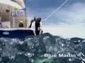 thefishingshow Underwater Billfish Action