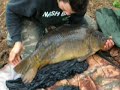 amelynck carp team 15.4 kg 06/2007