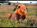 tourism in kenya