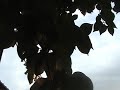 Feels Like Rain -Live