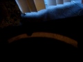 My Rockford Fosgate Punch DVC