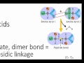 Proteins