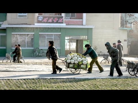 Nordkorea: Schlechteste Ernte seit mehr als zehn Jahr ...