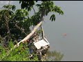 Criador & Criatura - Rios de Manaus