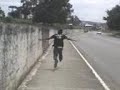a gaviota