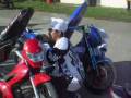 strollers 2008