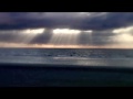 waves in my mind clip h264