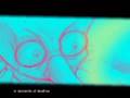 ERIC BOND L.b.B PRODUCTIONS DEMO REEL 08