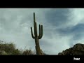 Video hike to Romero Pools, Tucson, Arizona - Catalina Park Video hike to Romero Pools, Tucson, Arizona - Catalina Park