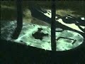 ocelot loves that pcp. unfortunately snake is at the wrong place at the wrong time