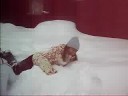 Locura en casa de papa noel