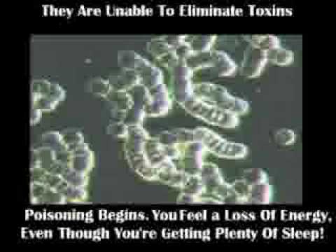 how to cure every disease