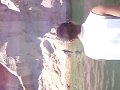 videos de 100 foot Cliff Jump